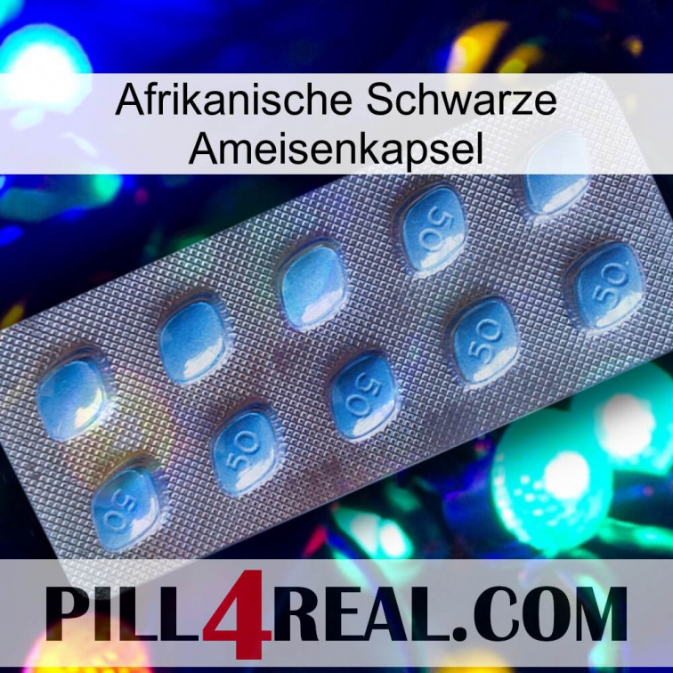 Africa Black Ant Capsule viagra3